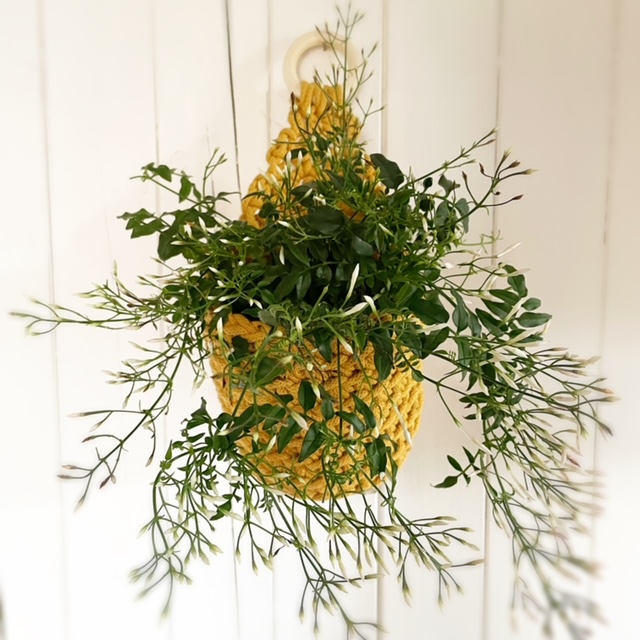 crochet pattern: hanging plant basket