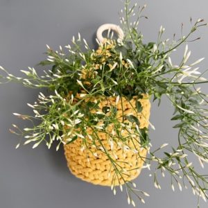 crochet pattern: hanging plant basket