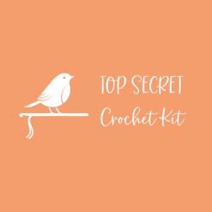 top secret crochet kit – festive christmas crochet project