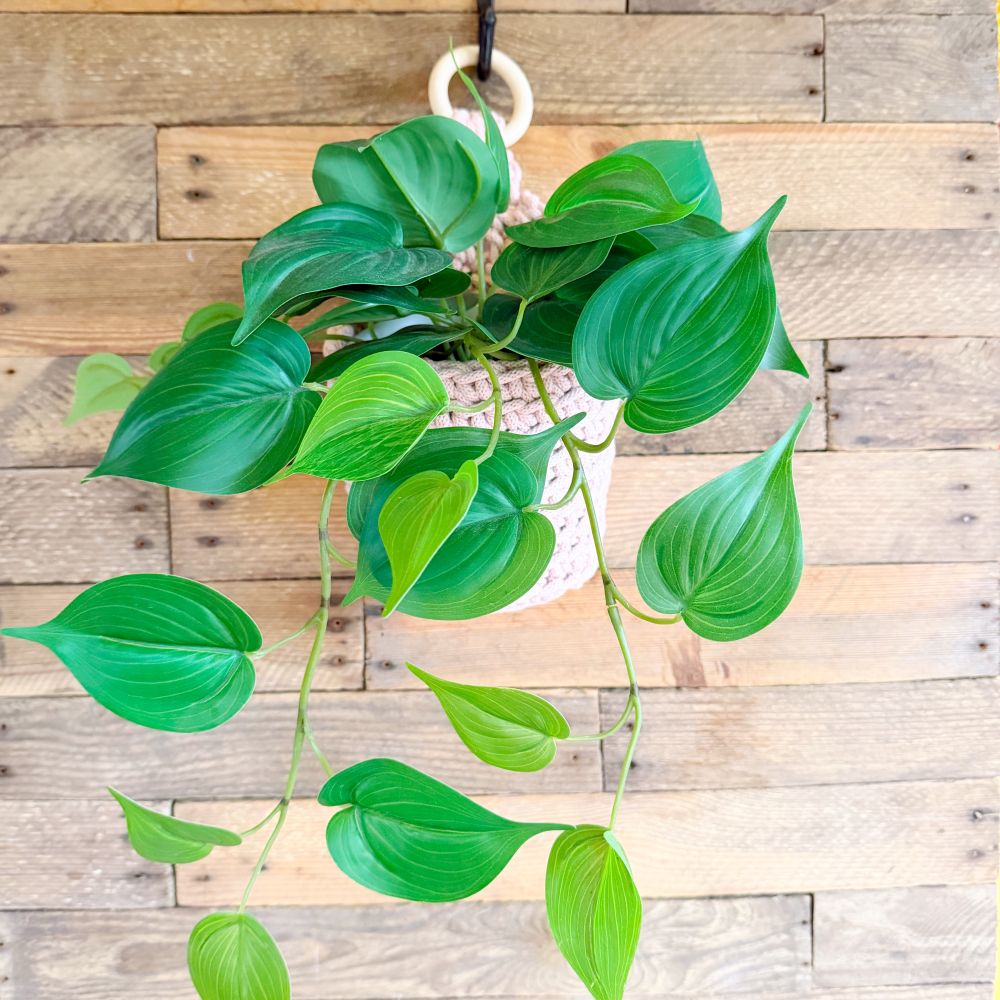 hanging basket crochet kit for plants and home storage