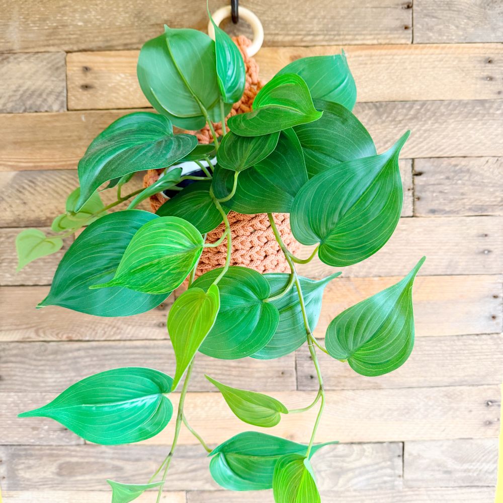 hanging basket crochet kit for plants and home storage