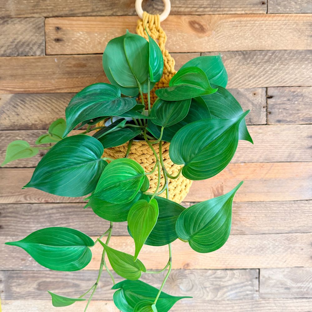 hanging basket crochet kit for plants and home storage